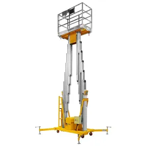подъемник двухмачтовый smartlift gtwy 12-200s (t) (220в; 200 кг; 12 м)