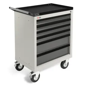 тележка инструментальная ts-875.06 (серая)